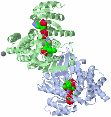 Image Asym./Biol. Unit