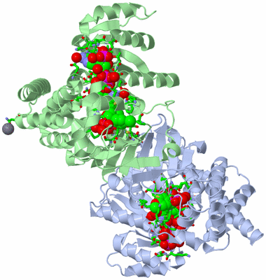 Image Asym./Biol. Unit - sites