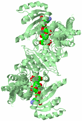 Image Biological Unit 1