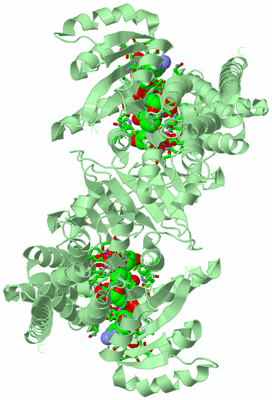 Image Biol. Unit 1 - sites