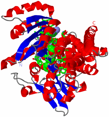 Image Asym. Unit - sites