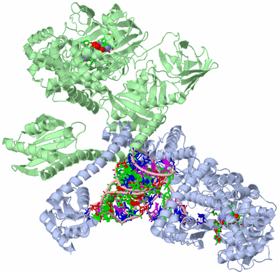 Image Asym./Biol. Unit - sites