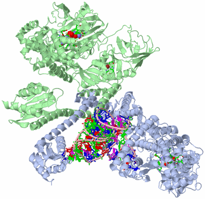 Image Asym./Biol. Unit - sites