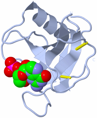 Image Biological Unit 1