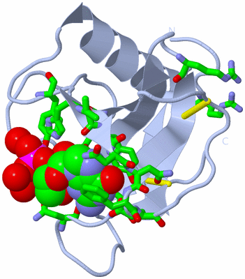 Image Biol. Unit 1 - sites