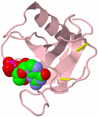 Image Biological Unit 3