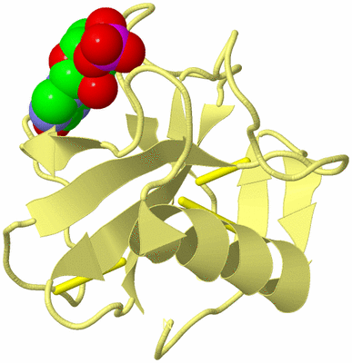 Image Biological Unit 4