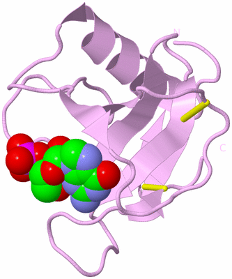 Image Biological Unit 5