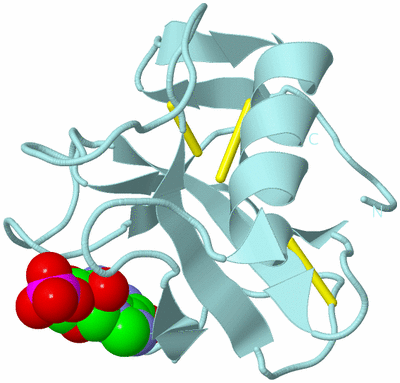 Image Biological Unit 6