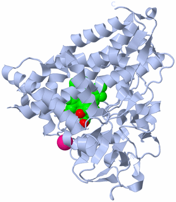 Image Biological Unit 1