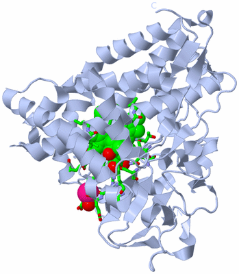 Image Biol. Unit 1 - sites