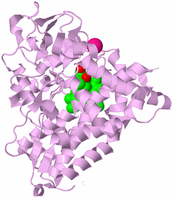 Image Biological Unit 2