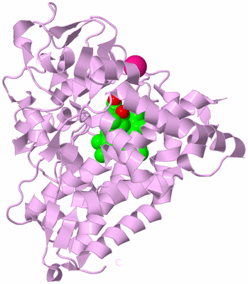 Image Biological Unit 2