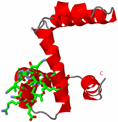 Image Asym. Unit - sites