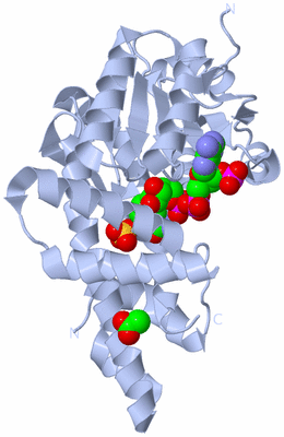 Image Biological Unit 1