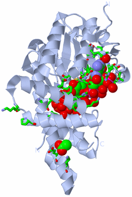 Image Biol. Unit 1 - sites