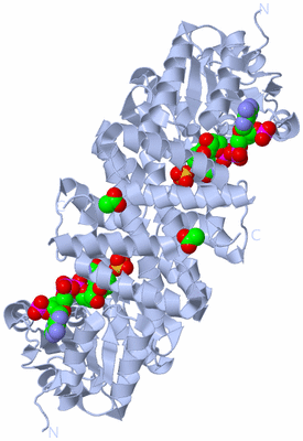 Image Biological Unit 2