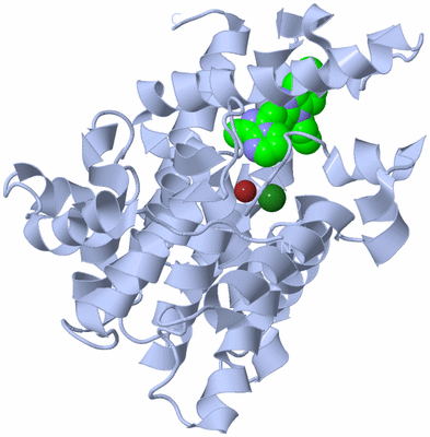 Image Biological Unit 1