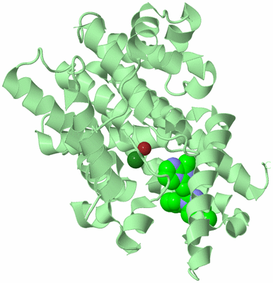 Image Biological Unit 2