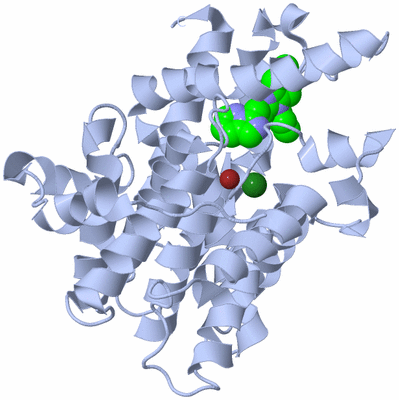 Image Biological Unit 1