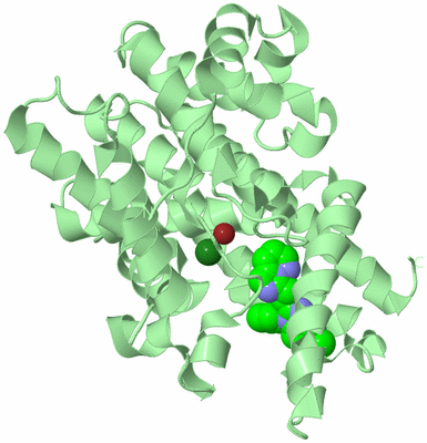 Image Biological Unit 2