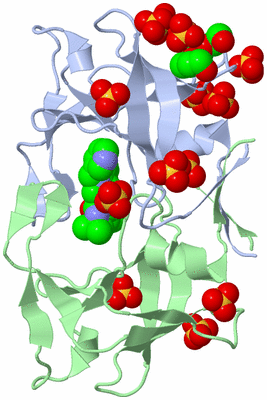 Image Biological Unit 1