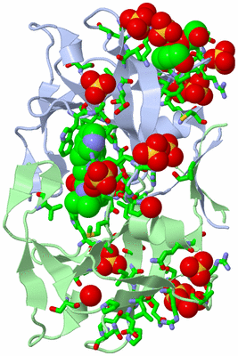 Image Biol. Unit 1 - sites