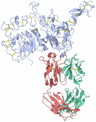 Image Asym./Biol. Unit