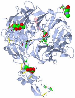 Image Asym./Biol. Unit - sites