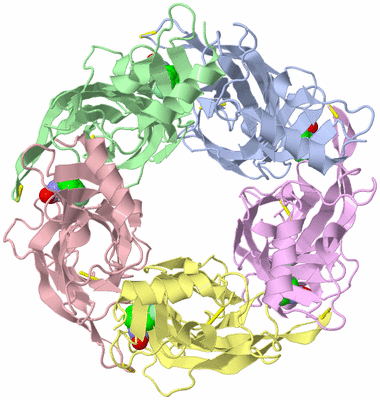 Image Asym./Biol. Unit