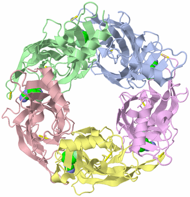 Image Asym./Biol. Unit