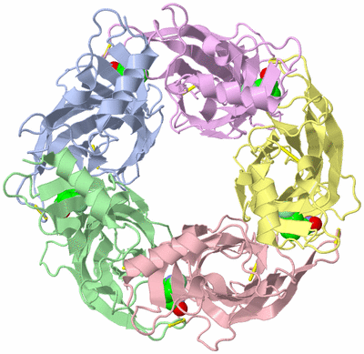 Image Asym./Biol. Unit