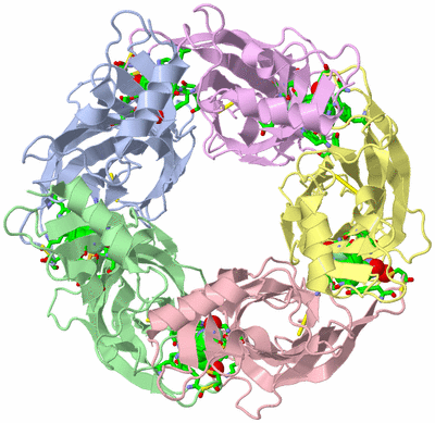 Image Asym./Biol. Unit - sites