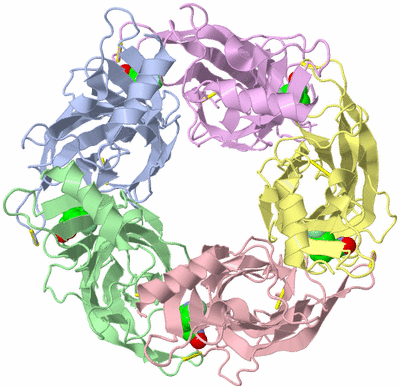 Image Asym./Biol. Unit