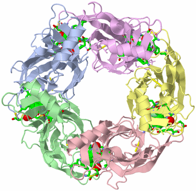 Image Asym./Biol. Unit - sites