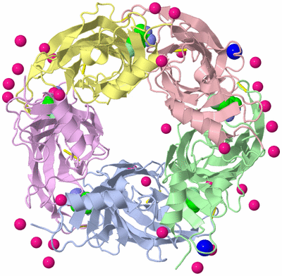 Image Biological Unit 1