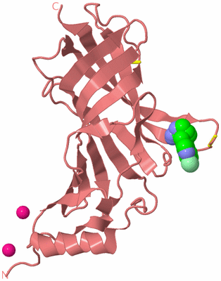 Image Biological Unit 10