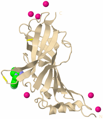 Image Biological Unit 11