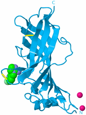 Image Biological Unit 12