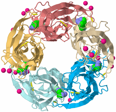 Image Biological Unit 2