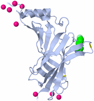 Image Biological Unit 3