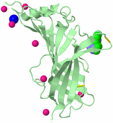 Image Biological Unit 4