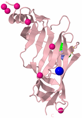 Image Biological Unit 5