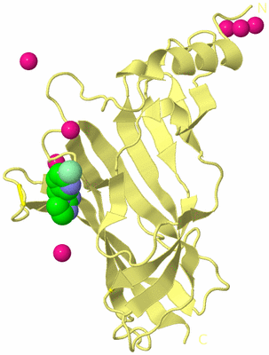 Image Biological Unit 6