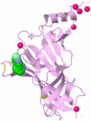 Image Biological Unit 7