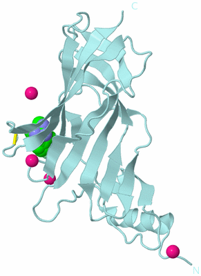 Image Biological Unit 8