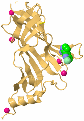 Image Biological Unit 9