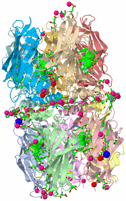 Image Asym. Unit - sites