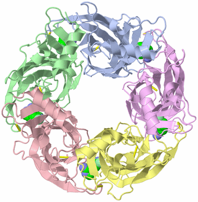 Image Asym./Biol. Unit