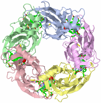 Image Asym./Biol. Unit - sites